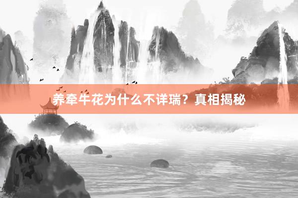 养牵牛花为什么不详瑞？真相揭秘