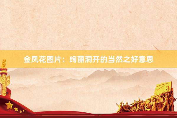 金凤花图片：绚丽洞开的当然之好意思